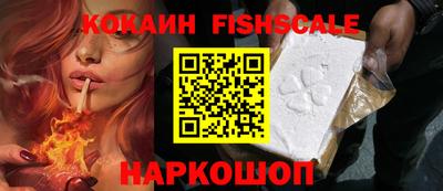 прущие крисы Моздок