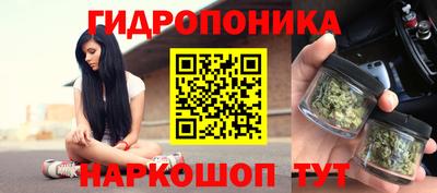 PSILOCYBIN Можайск