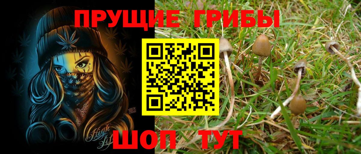 Псилоцибиновые грибы MAGIC MUSHROOMS Шелехов