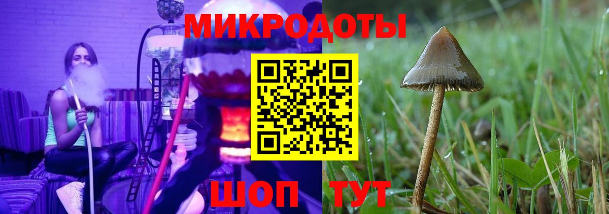 Шелехов  Галлюциногенные грибы ЛСД  где продают   Вход с VPN 